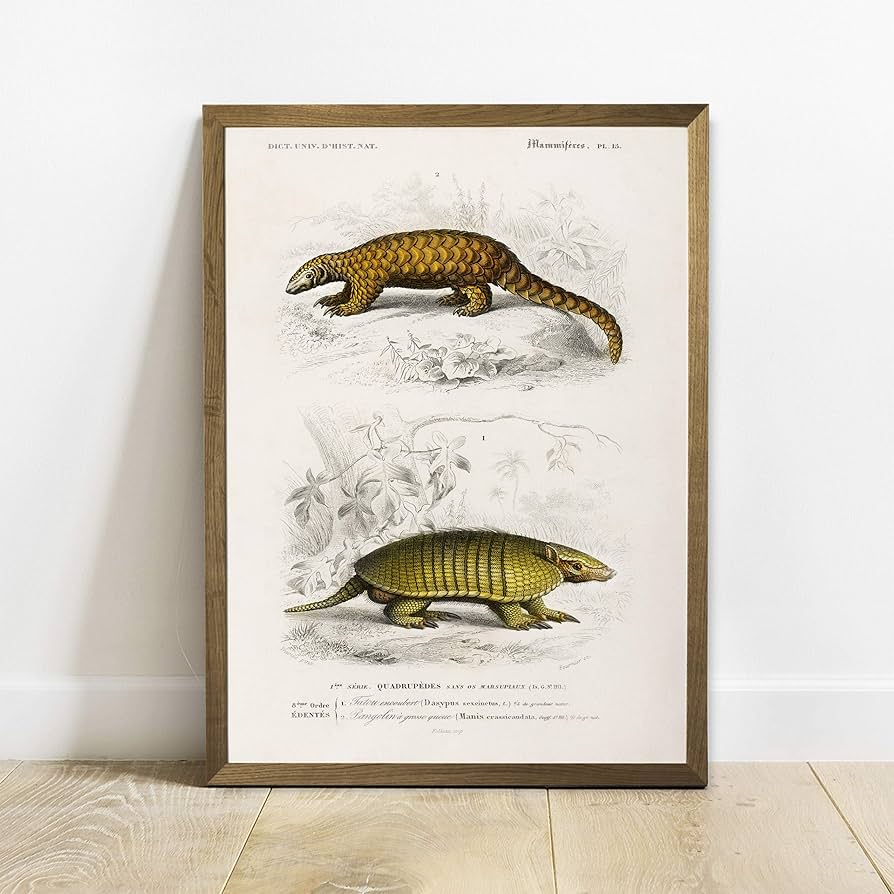 アンティーク 絵画 （大）ポスター （C） bn-poster-1447_1.jpg